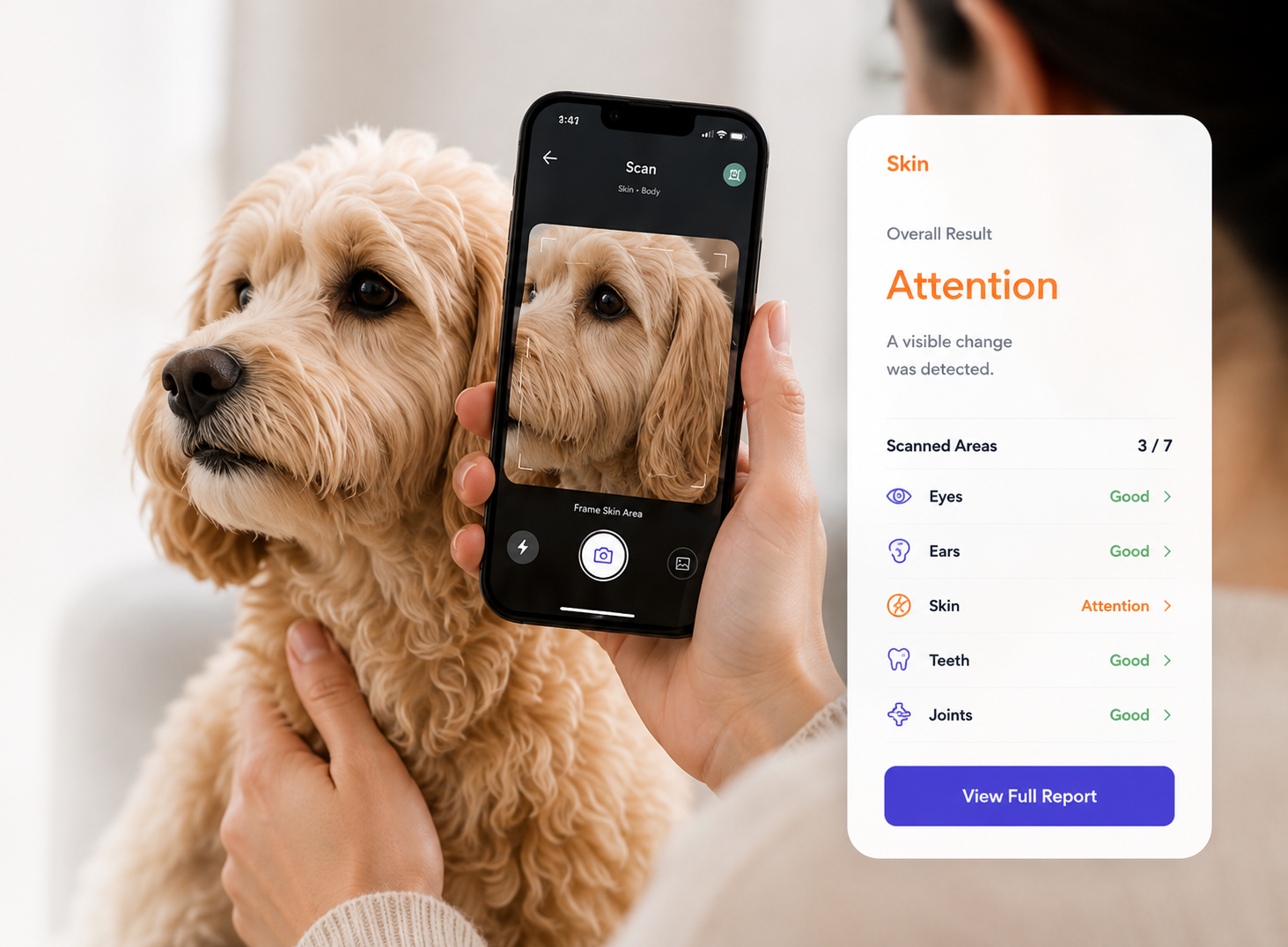 Scanning a dog with the Snapet app