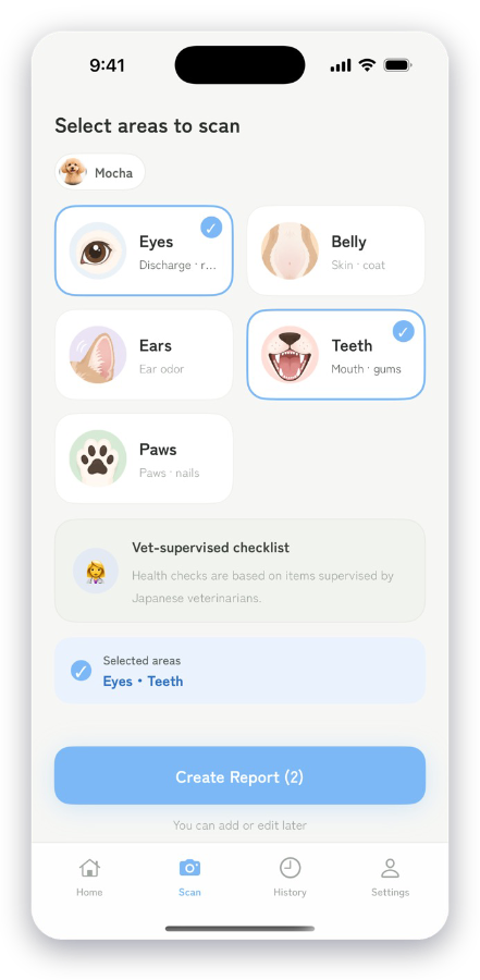 Select areas to scan