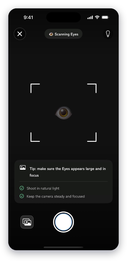 Guided camera
