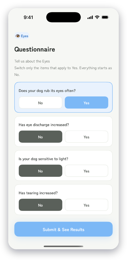 Questionnaire