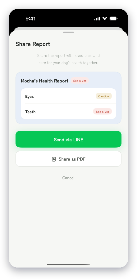 Share report